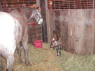 Mickey and Belle